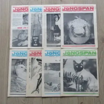 Die Jongspan Afrikaanse nuusblad - lot of 18 items (no. 23 to 30) - 25 July 1965 to 13 Sept 1965