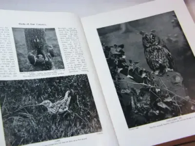 Pair of 2 Birds of our country, their eggs, nests, life and identification - Volume 1 and 2
