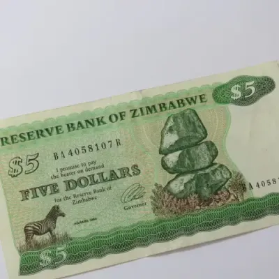 Zimbabwe Harare 1994 5 Dollars banknote - Some folds and creases