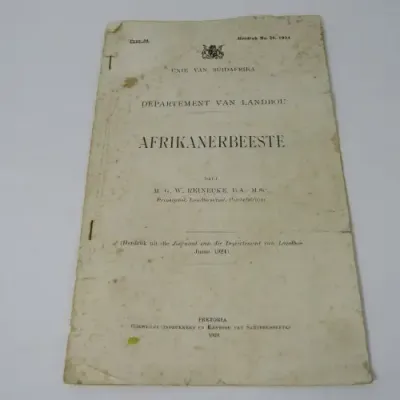 Vintage 1924 Information piece on Afrikanerbeeste published by the Union of South Africa government