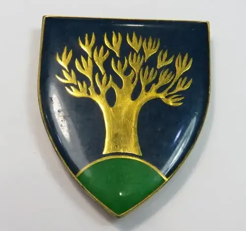 SWA Keetmanshoop commando Area Force Unit shoulder flash