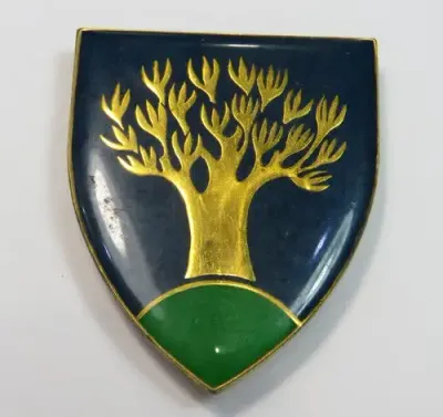 SWA Keetmanshoop commando Area Force Unit shoulder flash