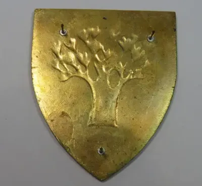SWA Keetmanshoop commando Area Force Unit shoulder flash