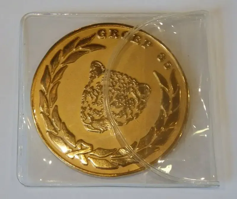 SA Army Group 35 Bloemfontein medallion