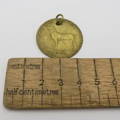 1923 Dog License token #56