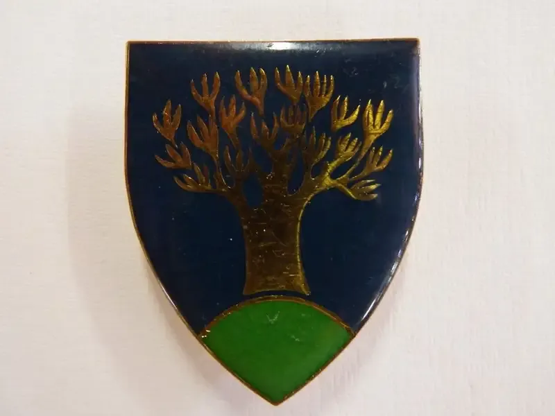 SWA Keetmanshoop commando area force unit shoulder flash