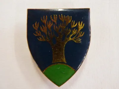 SWA Keetmanshoop commando area force unit shoulder flash