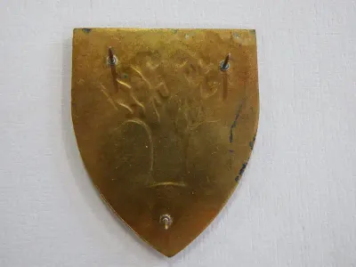 SWA Keetmanshoop commando area force unit shoulder flash