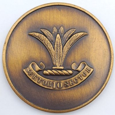 SWA Sector 10 medallion