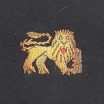 Pair of SA Navy bullion wire badges for epaulettes