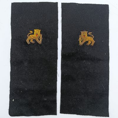 Pair of SA Navy bullion wire cloth badges for epaulettes