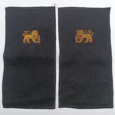 Pair of SA Navy bullion wire badges for epaulettes