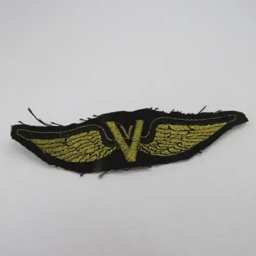 Unusual V cloth wing - Victory?