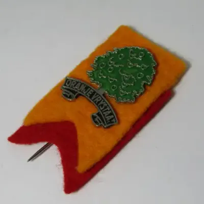 Vintage Oranje Vrystaat Rugby pin badge