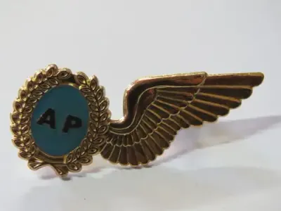 SA Air Force Air photographer wing breast badge
