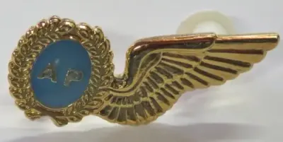 SA Air Force Air Photographer mess dress wing breast badge - Gold type
