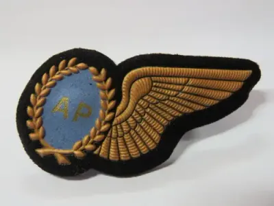 SA Air Force Air Photographer tupper wing - Bronze type