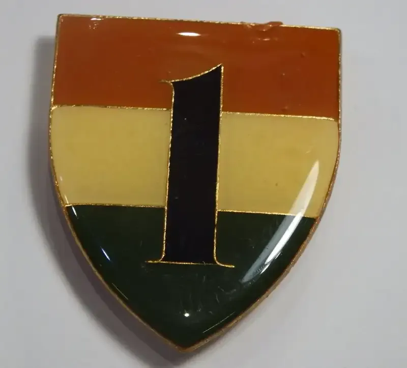 1 Battalion Transkei Defence Force shoulder flash