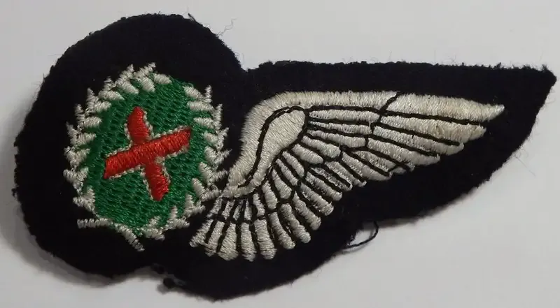 SA Air Force Commando Observer cloth wing with pins