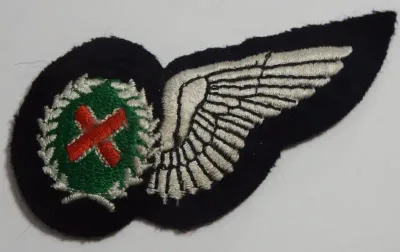 SA Air Force Commando Observer cloth wing