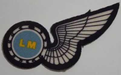 SA Air Force Load Master printed wing
