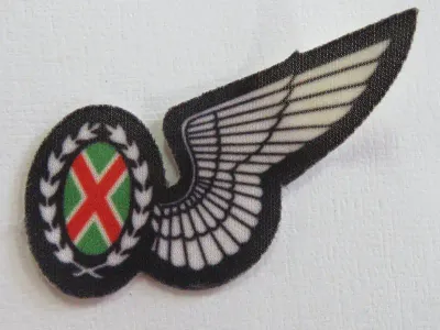 SA Air Force Commando Observer wing - Printed cloth