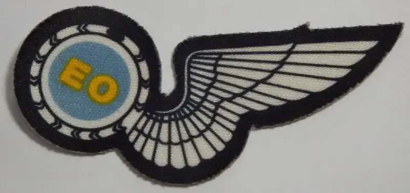 SA Air Force Electric Operator printed wing