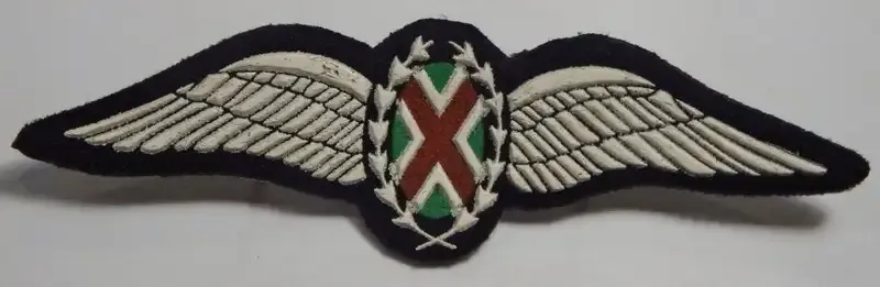 SA Air Force Commando Pilot tupperware wings