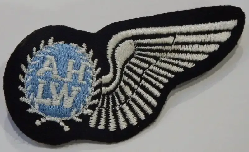 SA Air Force Air Hostess cloth wing