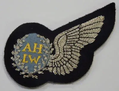 SA Air Force Air Hostess silver bullion wire cloth wing