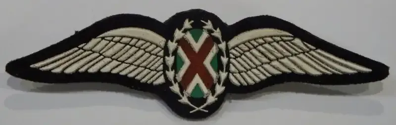 SA Air Force Commando Pilot tupperware wing