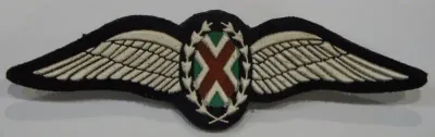 SA Air Force Commando Pilot tupperware wing