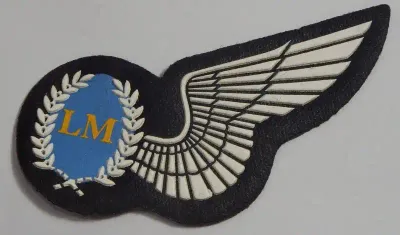 SA Air Force Load Master tupperware wing - No pin type