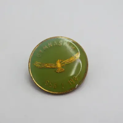 1956-1981 SA Airforce Gymnasium lapel badge