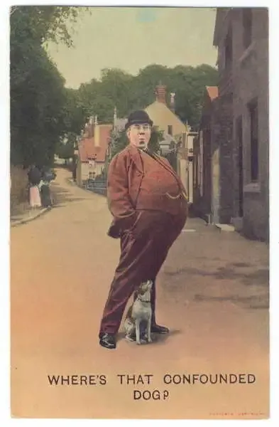 Postcard - `Where`s that confounded dog?`