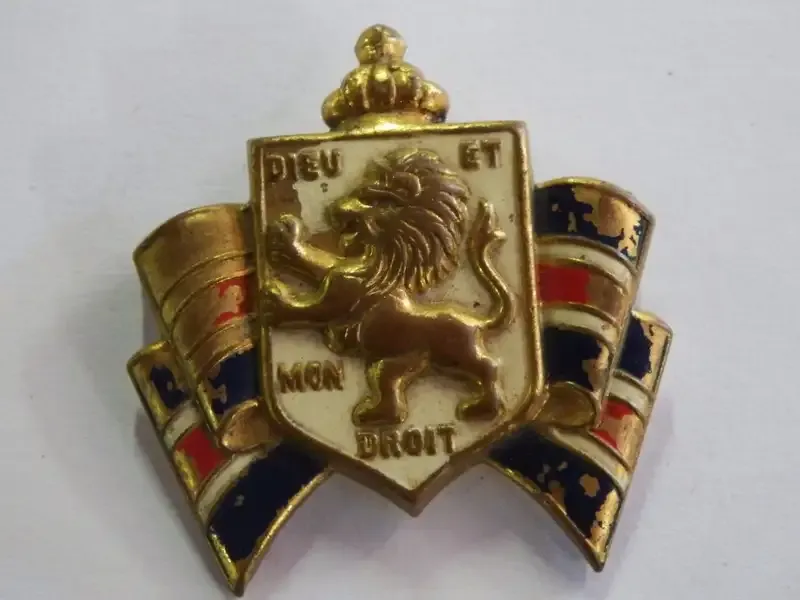 British War Relief lapel badge