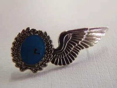SA Air Force flight engineer wing - Silver type - Poor quality