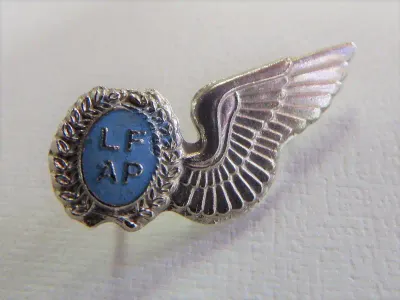 SA Air force air photographer mess dress wing - Silver type
