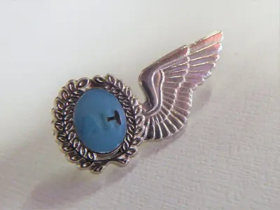 SA Air force air hostess mess dress wing - Silver type - Poor quality