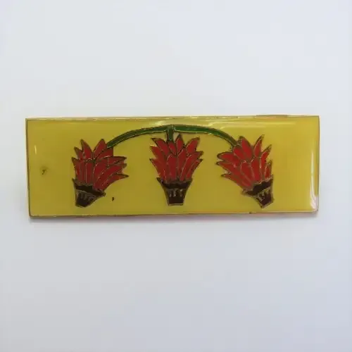 SADF Far North Command bar