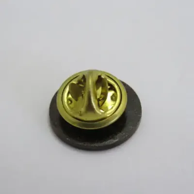 SA Air force 75 Years lapel pin badge