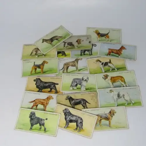 Cigarettes cards - Dogs by WD and HO Wills - lot of 19 out of 50 cards