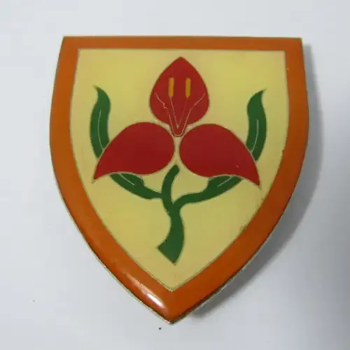 SAdf Military Academy shoulder flash