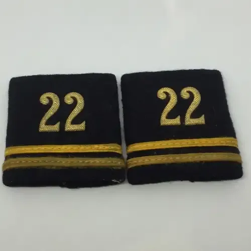 Pair of Swiss army engineers rank badges