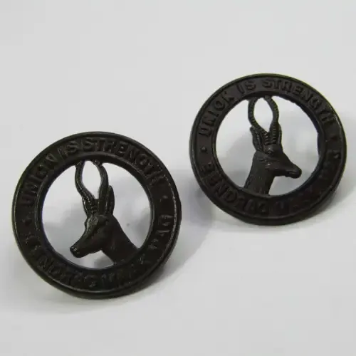 Pair of SA Army collar badges