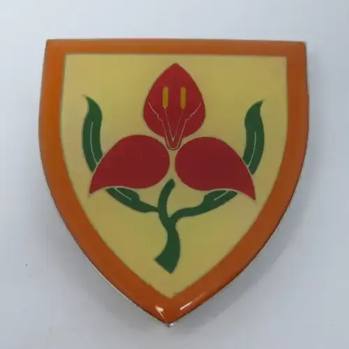 SADF Military academy shoulder flash