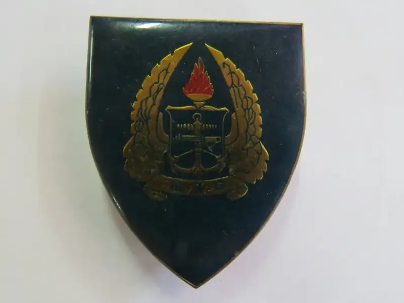 SADF Military Gymnasium shoulder flash