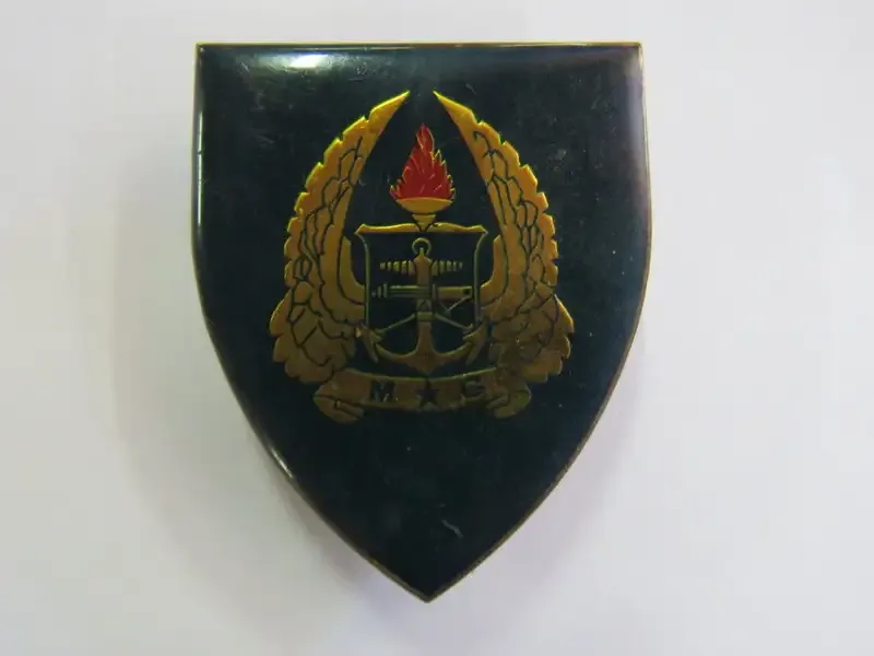 SADF Military Gymnasium shoulder flash
