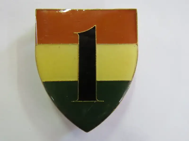 1 Battalion Transkei Defence Force shoulder flash