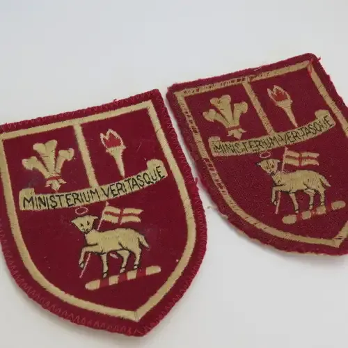 Pair of vintage Fish Hoek High School badges